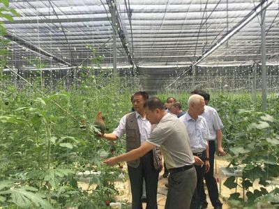 袁文先將軍深入三明調研，為扶貧改革與種植技術發展注入新動能