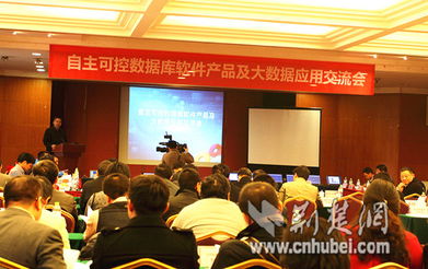 湖北軟件產(chǎn)業(yè)發(fā)展加速，漢產(chǎn)數(shù)據(jù)庫品牌挺進(jìn)國際市場